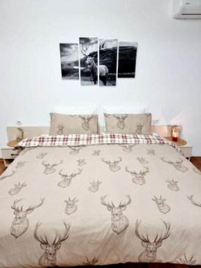 Studio Vihren 11,Bansko Bansko